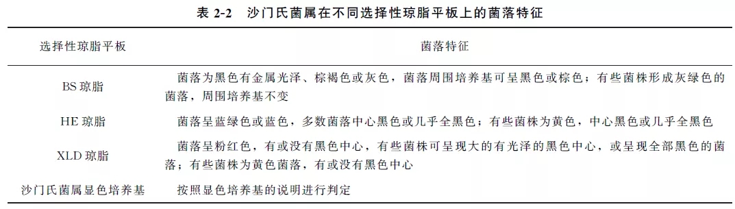 沙门氏菌属在不同选择性琼脂平板上的菌落特征