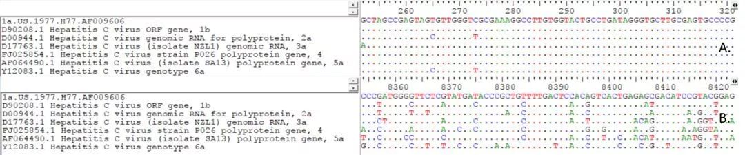 A.5’端非编码区序列；B.NS5序列